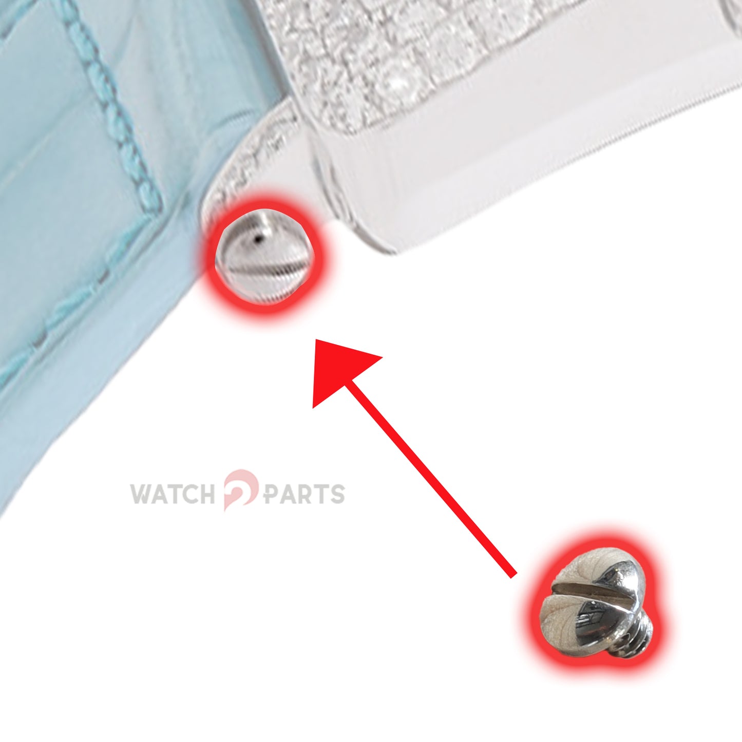 Watch Strap Screw for Franck Muller FM 6002/950/952/902 Watch Band - watch2parts