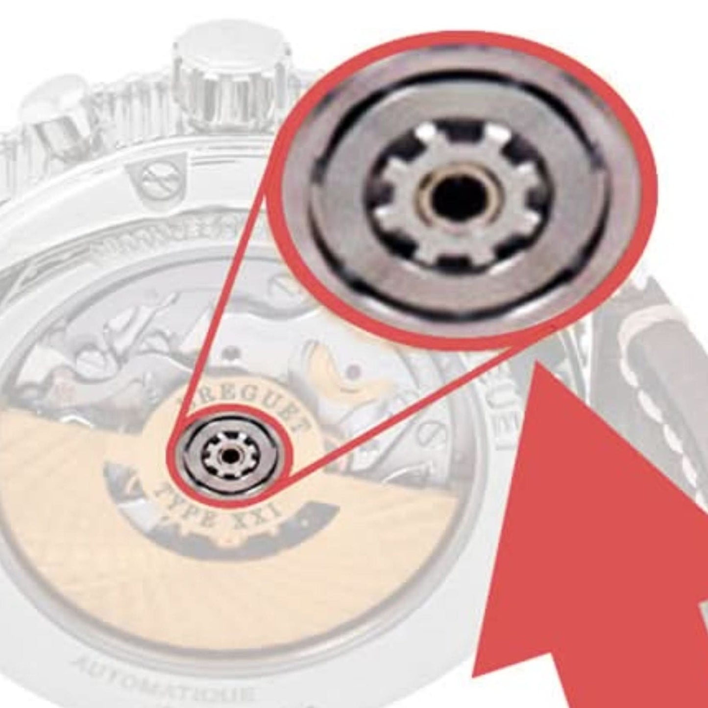 8 prongs watch movement rotor screwdriver for Breguet TYPE XX-XXI-XXII watch tools