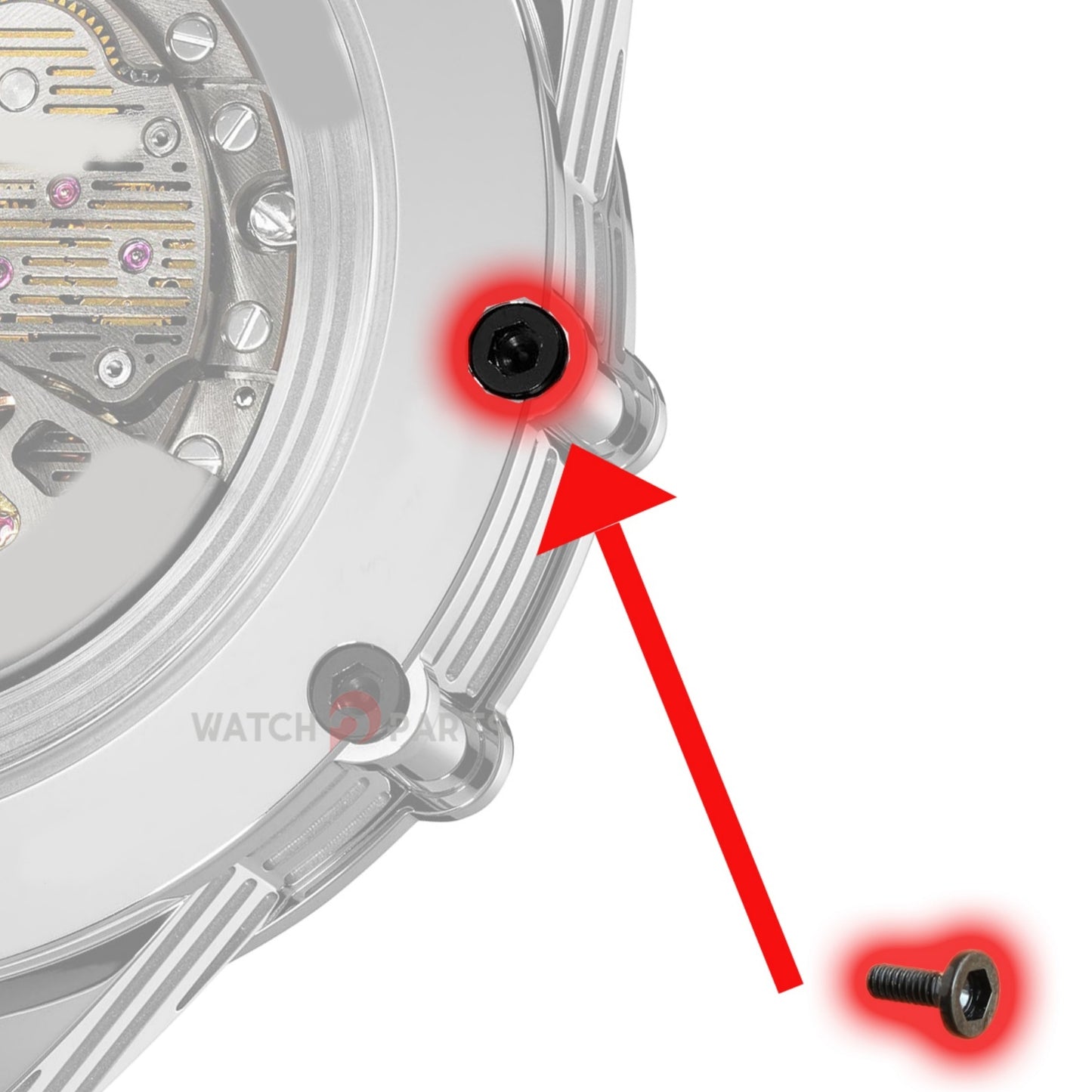 Watch Case Back Screw for Chopard MILLE MIGLIA Superfast 168537 45mm Watch