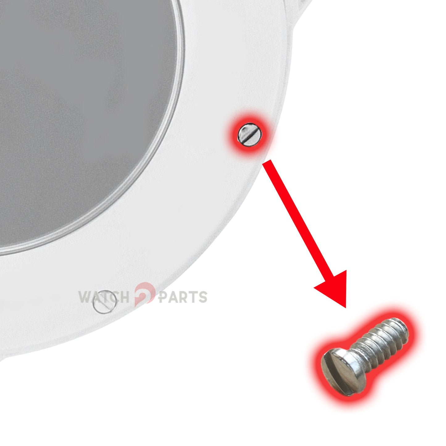 Watch Case Back Screw for Chopard 168543 Mille Miglia Jacky Ickx Edition V Chronograph 42.4mm Watch - watch2parts