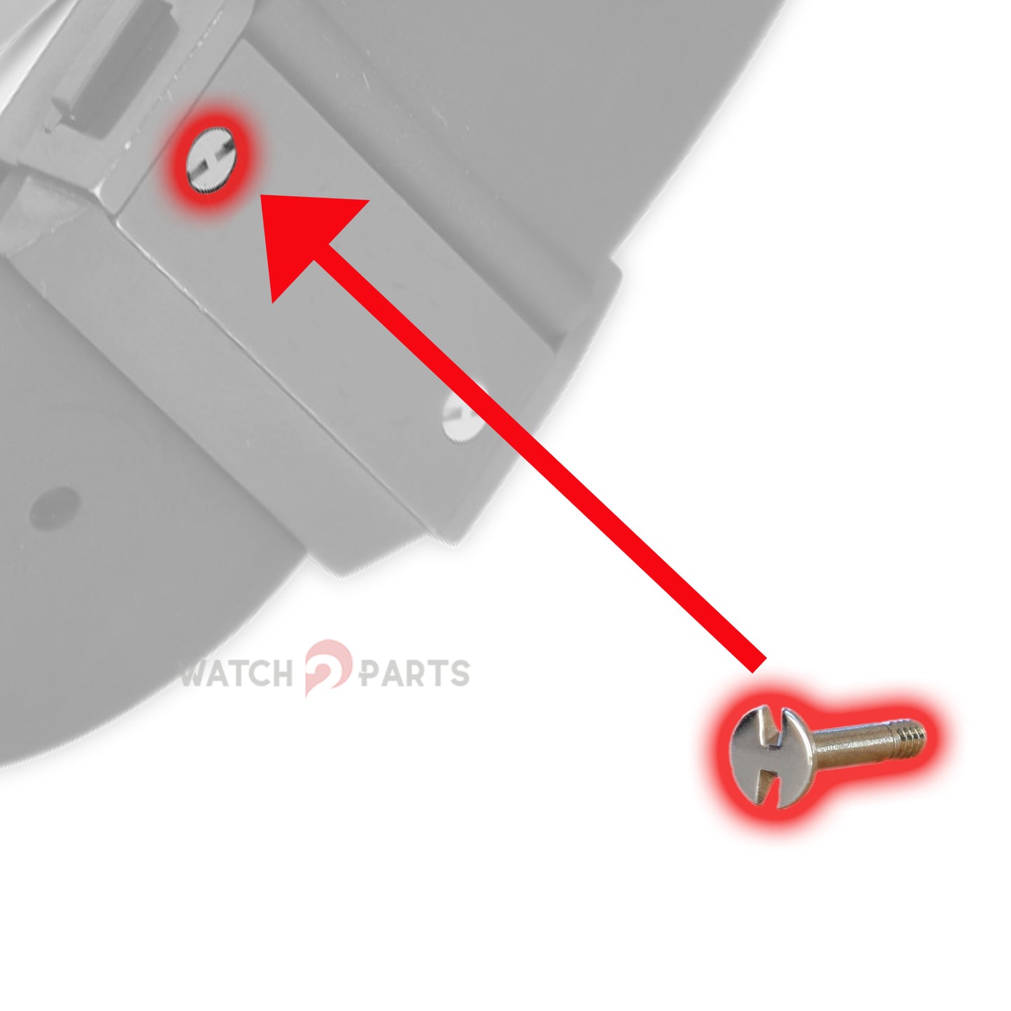 Watch Strap Screw for Hublot Big Bang King 312/322 48mm Watch Band - watch2parts