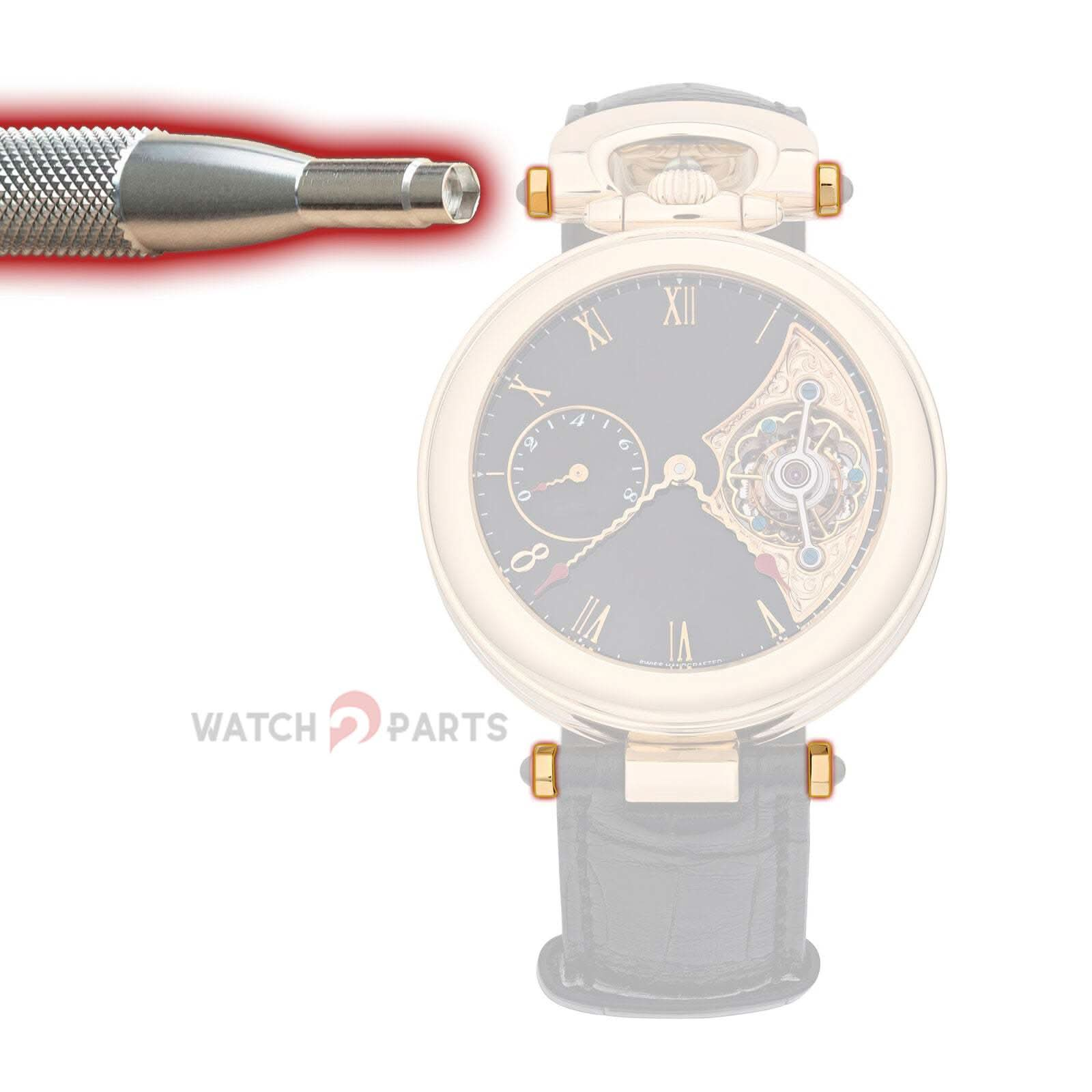 Guarda il cacciavite della presa esagonale della fascia per bovet Sportster Watch Strap Vite