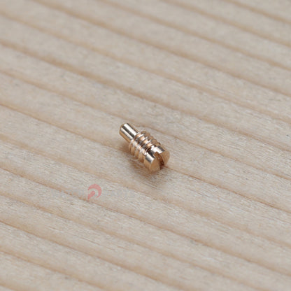 18K Rose Gold/White Gold Case Screw for Patek Philippe Nautilus PP 5980 40.5mm Watch