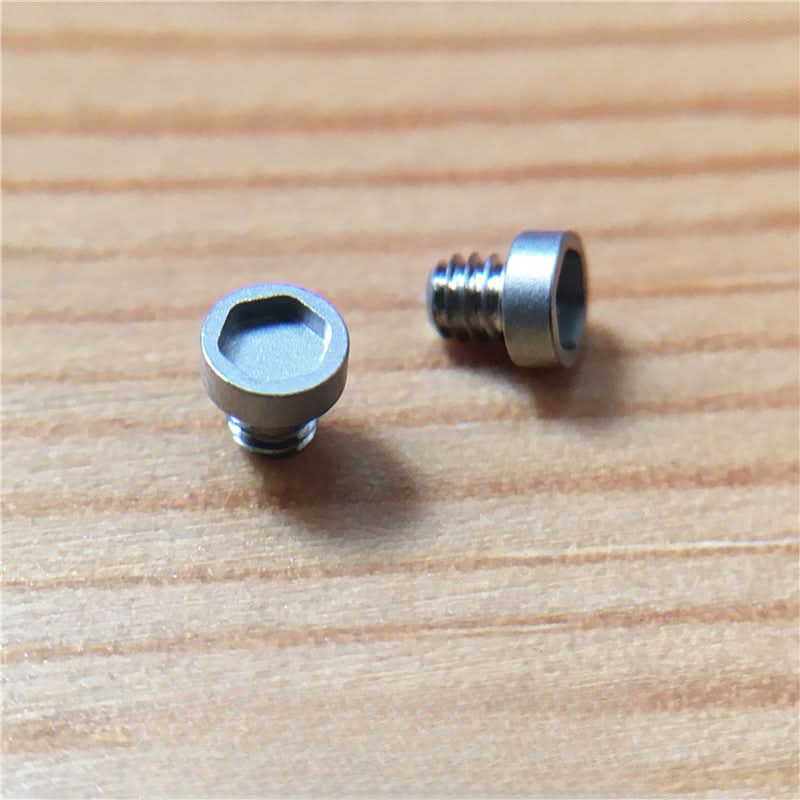 Ear Tube Screw for Roger Dubuis Excalibur 45mm Manual Watch