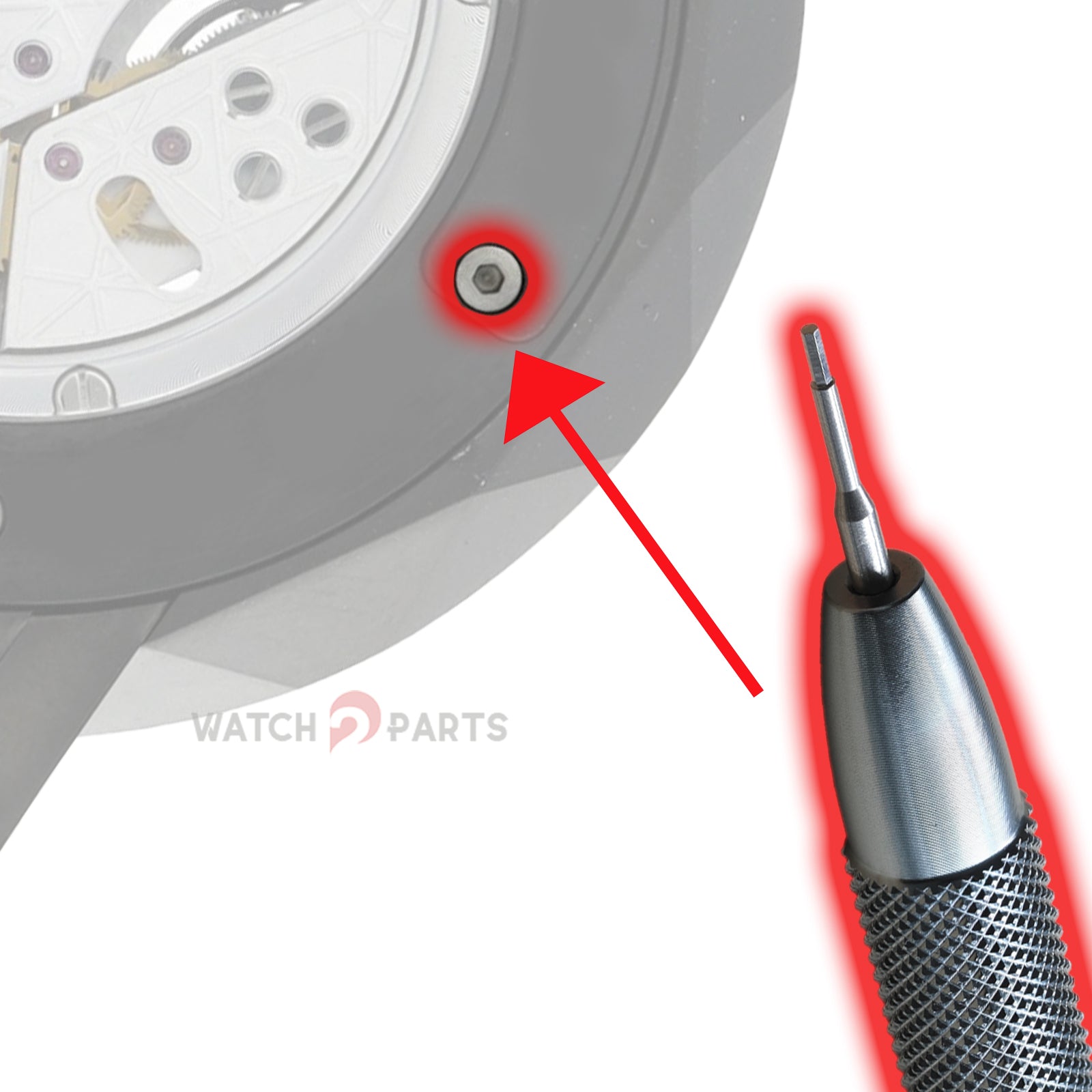 0.8mm Internal Hexagon Watch Case Back Screwdriver for Graff 5500HV/GS38PD Watch Back Cover Tools - watch2parts