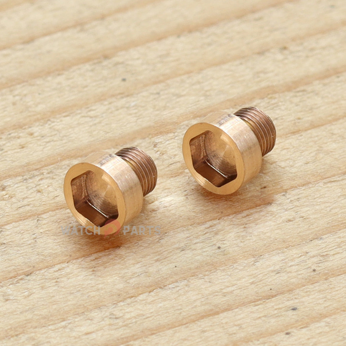 Tornillo de tubo para el oído para Roger Dubuis Excalibur Manual de 45 mm Reloj