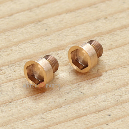Tornillo de tubo para el oído para Roger Dubuis Excalibur Manual de 45 mm Reloj