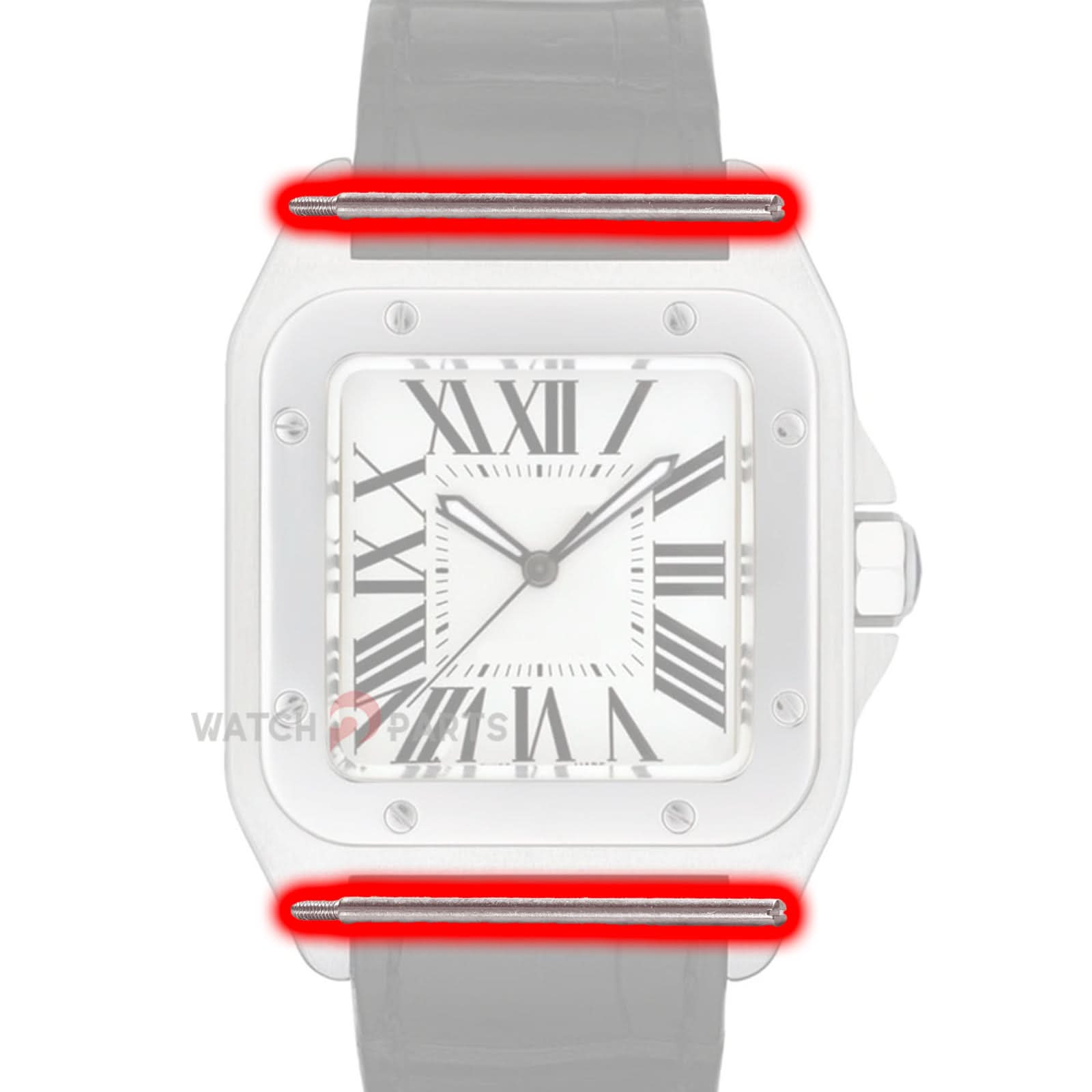 Tubo a vite per cartier santos 100 m/l/xl orologio da orologio collegare bandiera a vite a vite