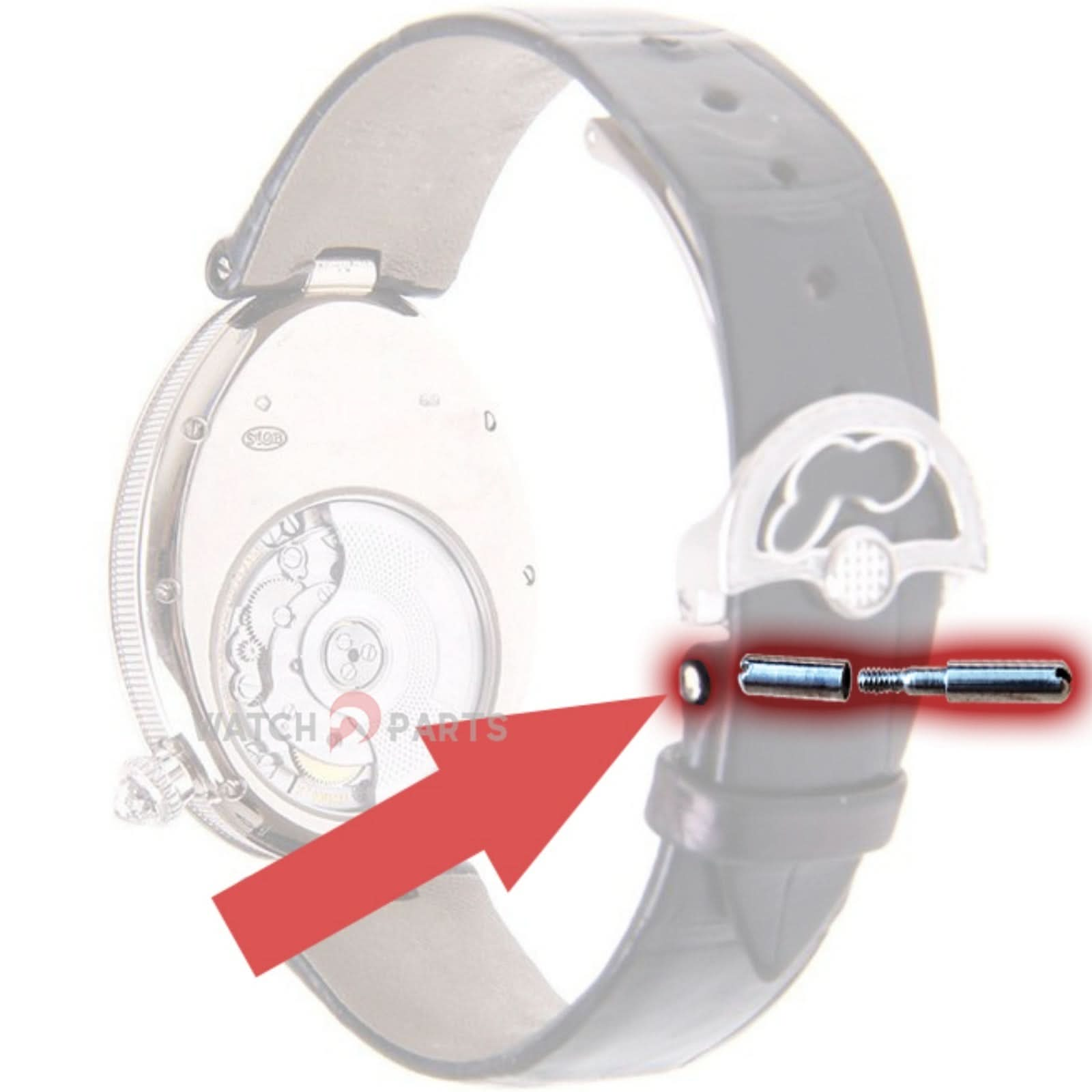 Tube à vis de 13,5 mm pour Breguet Reine de Naples Watch en cuir et boucle 16 mm