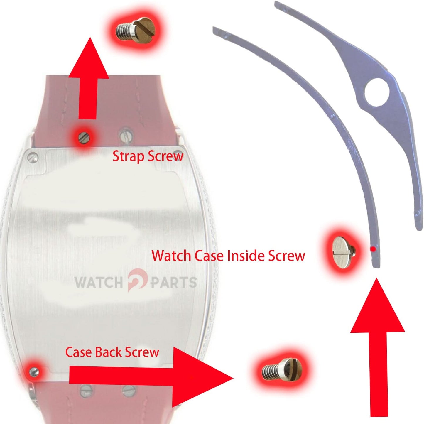 Guarda la vite per Franck Muller FM V32 Vanguard Lady Watch Case all'interno/cinturino/banda/cover posteriore