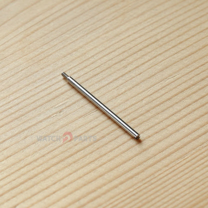 Schraubenrohr für Cartier Santos 100 m/l/xl Uhrenschuhanschluss Uhrenbandschraubstange