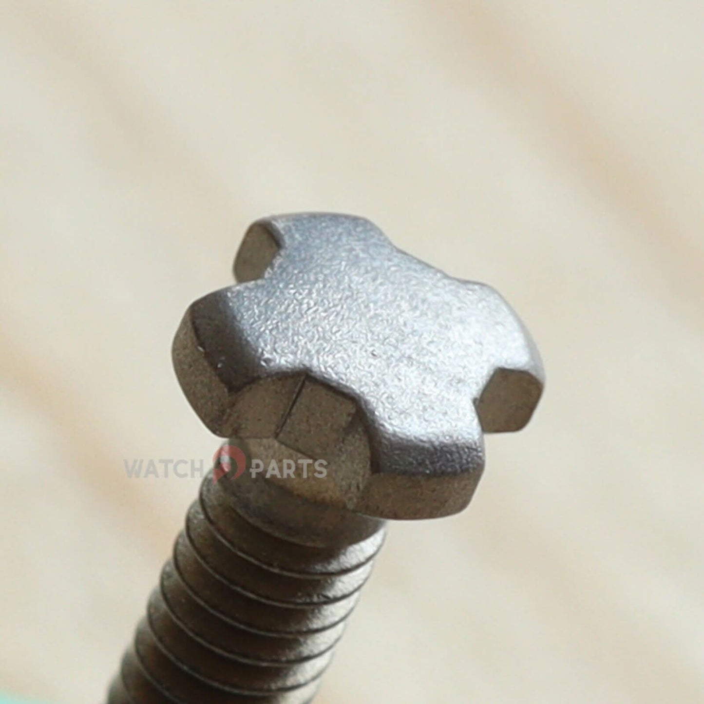Титановый винт с выпуклым шлицем для дугообразного винта корпуса ремешка часов Richard Mille RM037