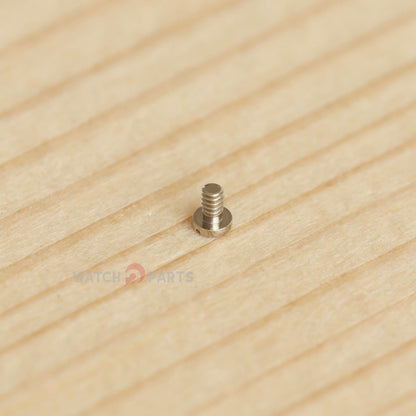 مشاهدة 3135-5110 المسمار لرولكس 3135/3130/3136 حارس التوازن/جسر التوازن/جسر اللف/الجهاز التلقائي السفلي/الجسر العلوي