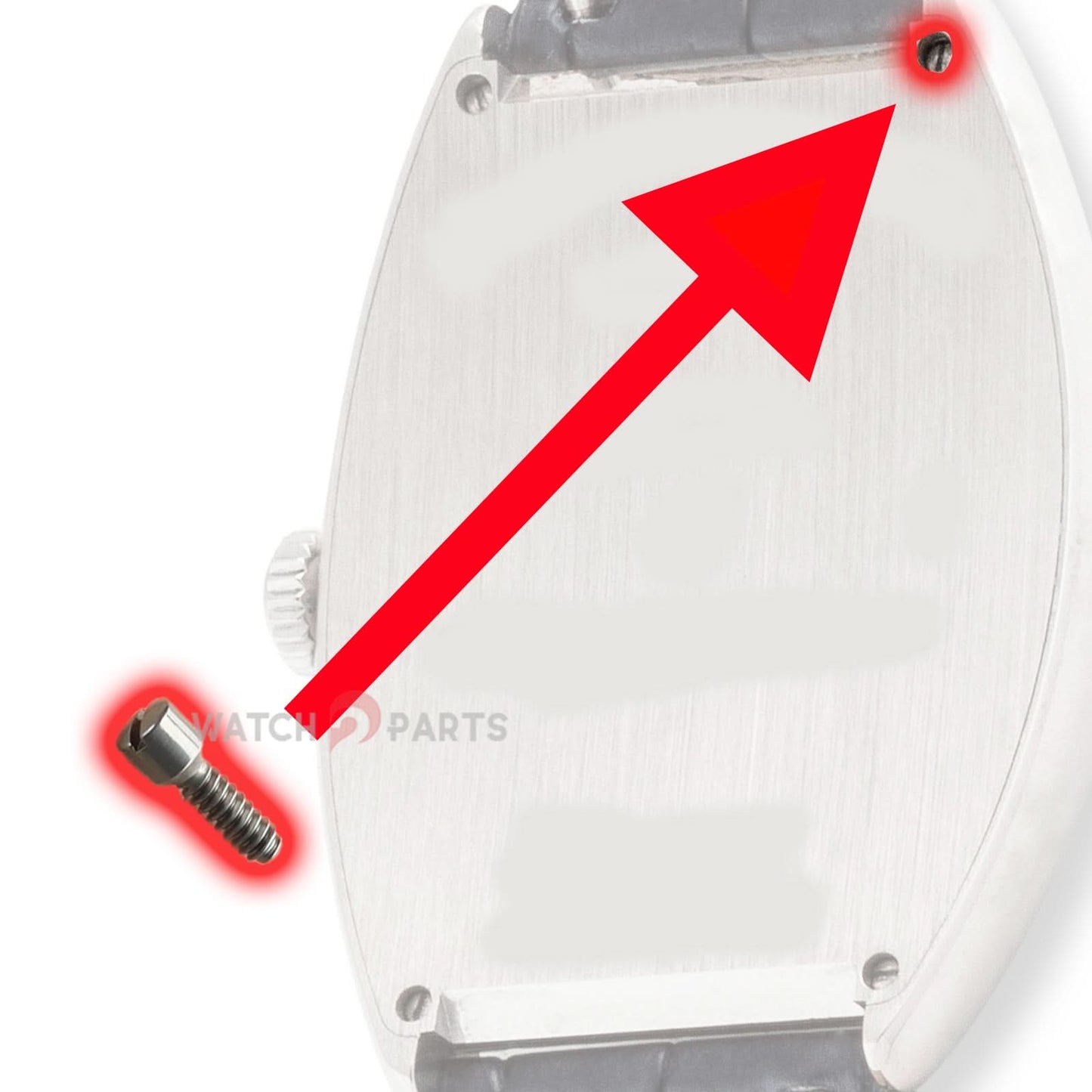 Watch Case Back Screw for Franck Muller Cintrée Curvex FM 8880 6850 6000 Watch Back cover