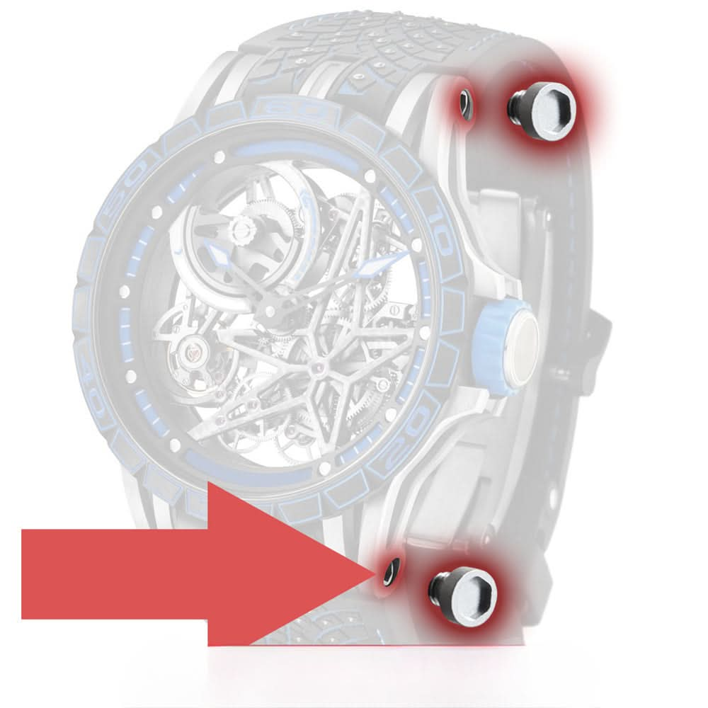 Vis du tube d'oreille pour Roger Dubuis Excalibur 45 mm