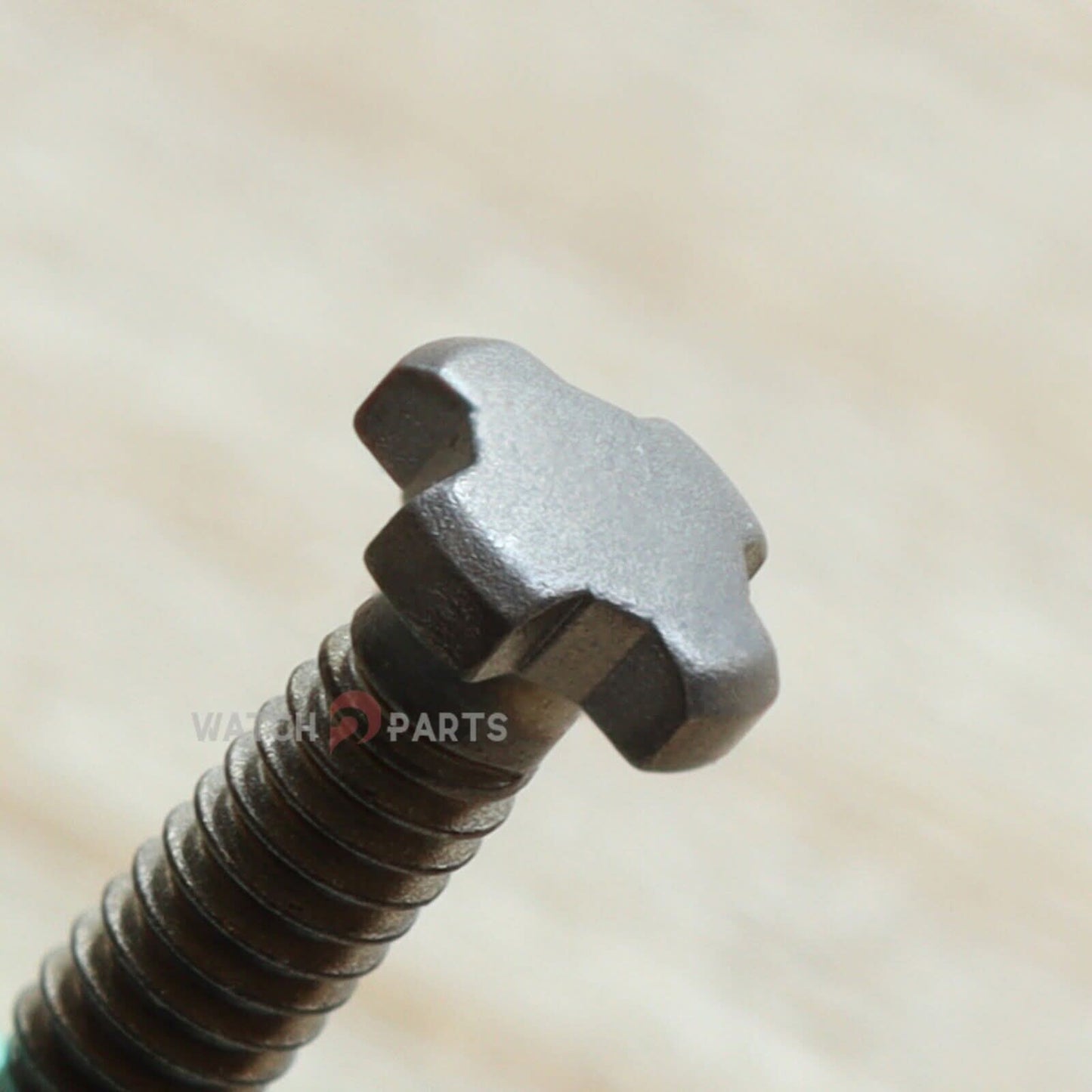 Титановый винт с выпуклым шлицем для дугообразного винта корпуса ремешка часов Richard Mille RM037