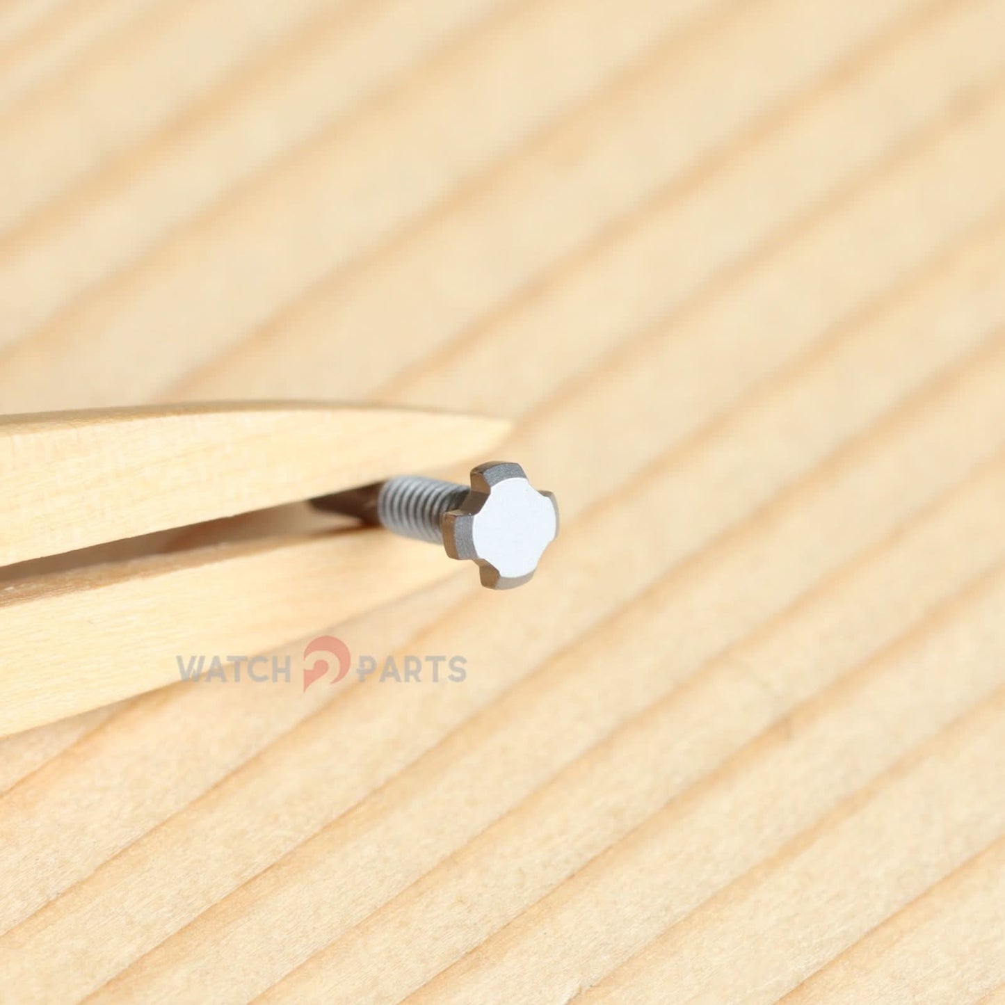 Titanium 4 Prongs Watch Bezel Screw for RM Richard Mille RM005 RM010 RM07 Lady Automatic Watch Band