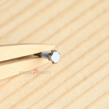 Titanium 4 Prongs Watch Bezel Screw for RM Richard Mille RM005 RM010 RM07 Lady Automatic Watch Band