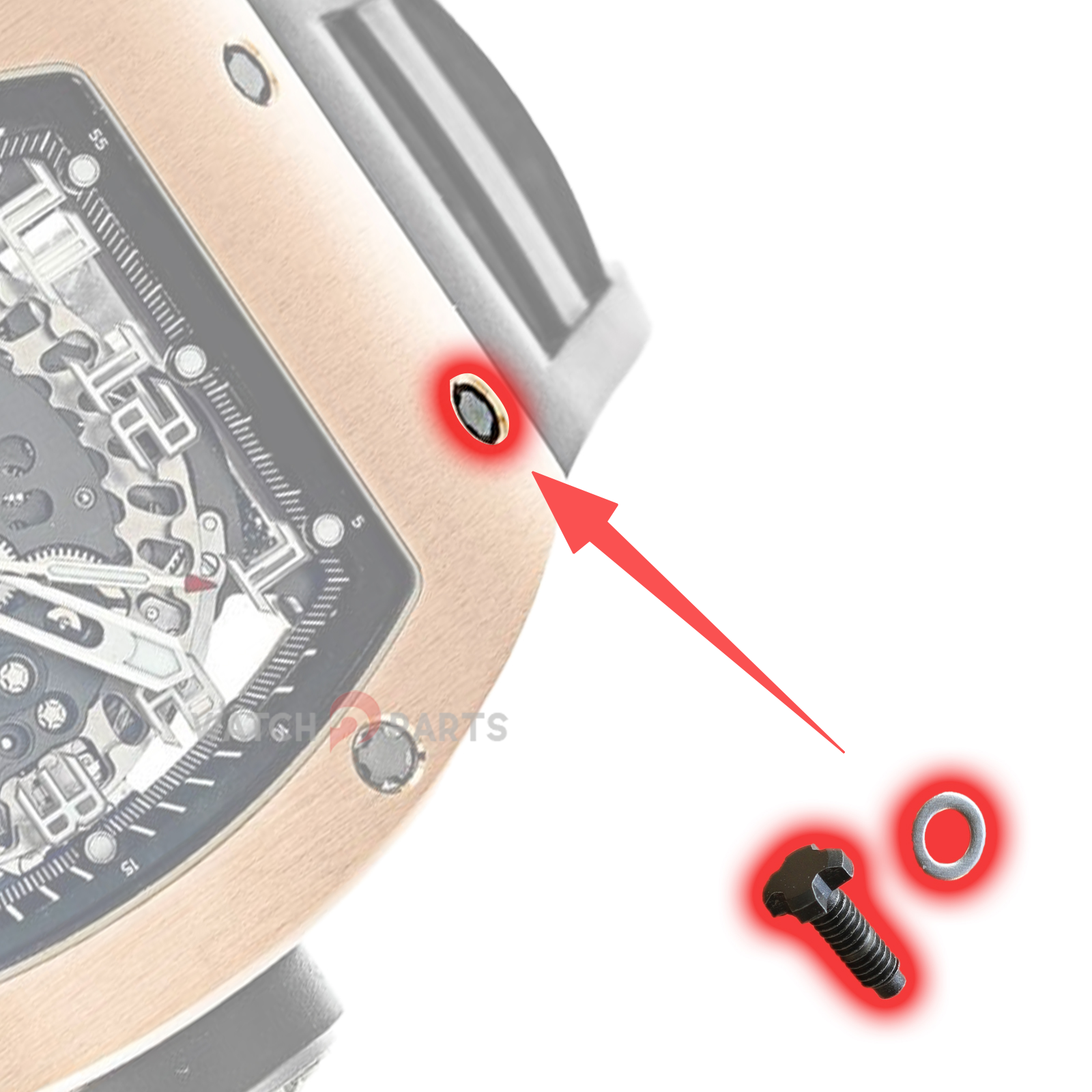 4 Prongs Ttanium Watch Band Screw for Richard Mille RM029 Automatic Watch Strap Parts - watch2parts