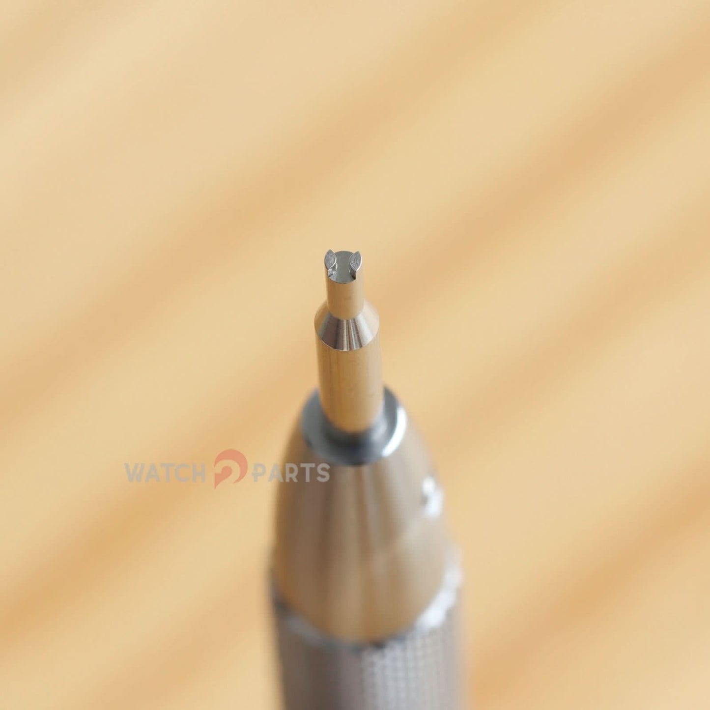 Cacciavitore concavo con cave di orologio da 1,7 mm per gli strumenti di copertina posteriore di Laurent Ferrier