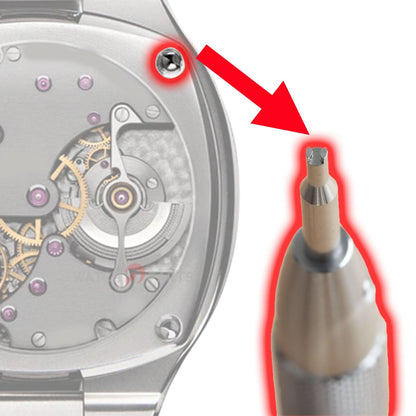 Cacciavitore concavo con cave di orologio da 1,7 mm per gli strumenti di copertina posteriore di Laurent Ferrier