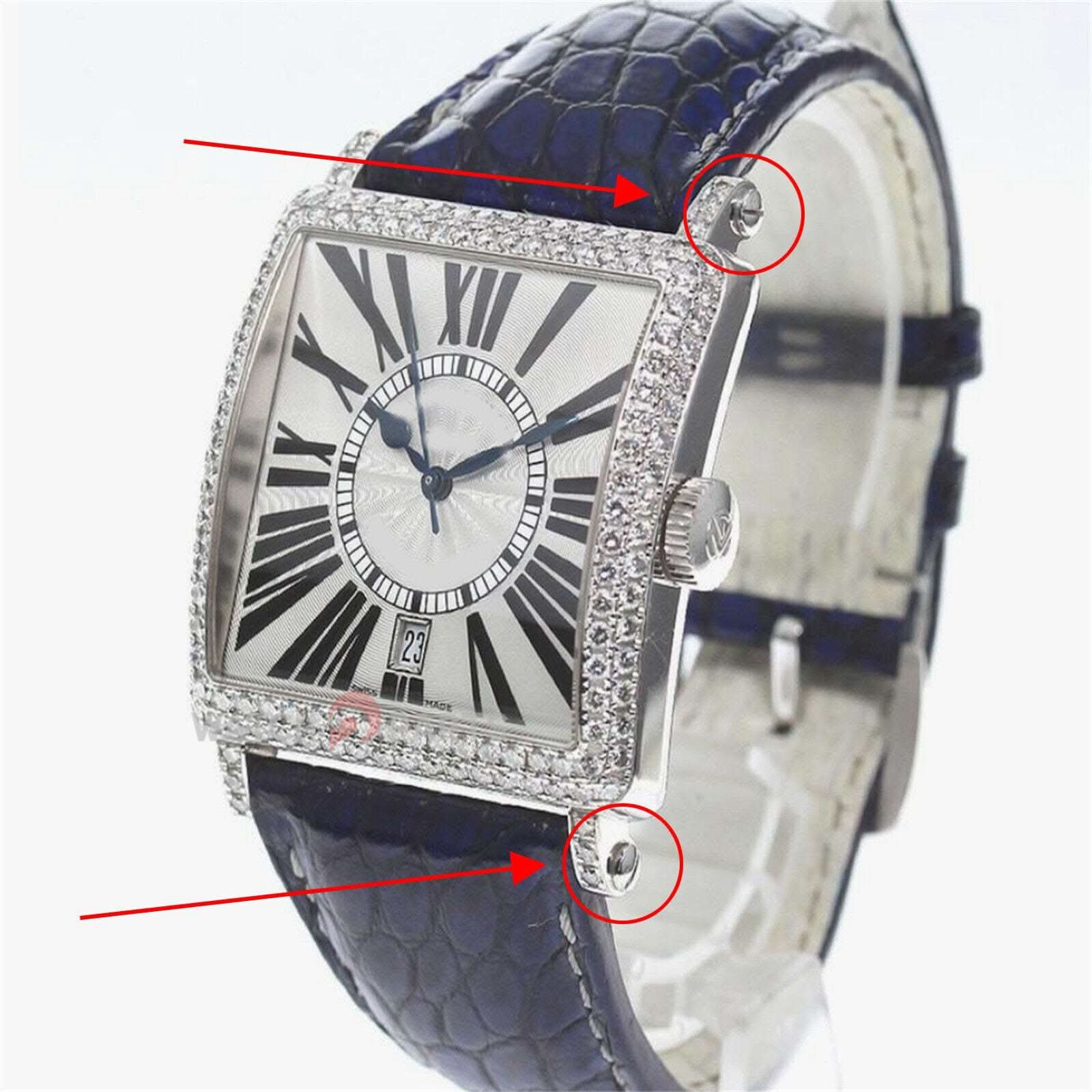 Vis de sangle de montre pour Franck Muller Master Square 6000k Watch Band