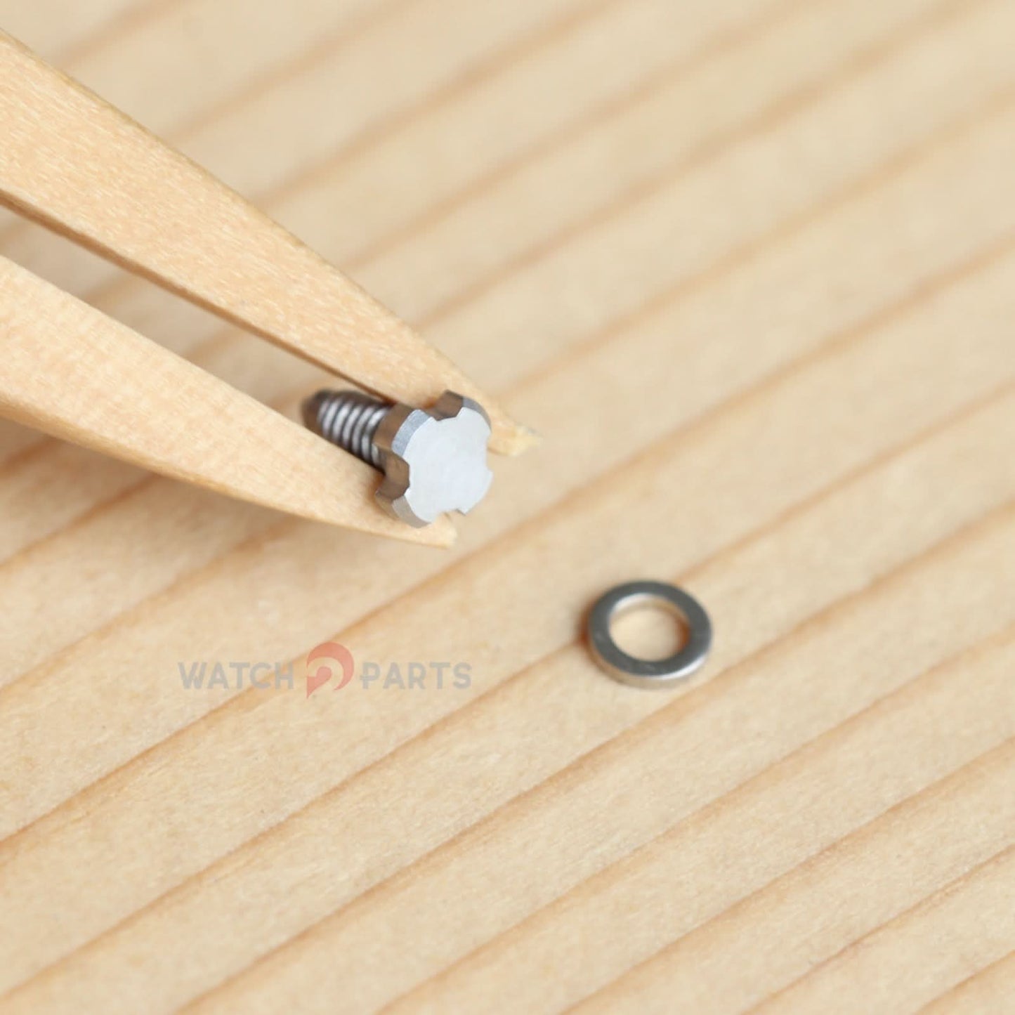 4 Prongs Watch Band Screw for RM Richard Mille Automatic Diver RM028 Watch Screwtube