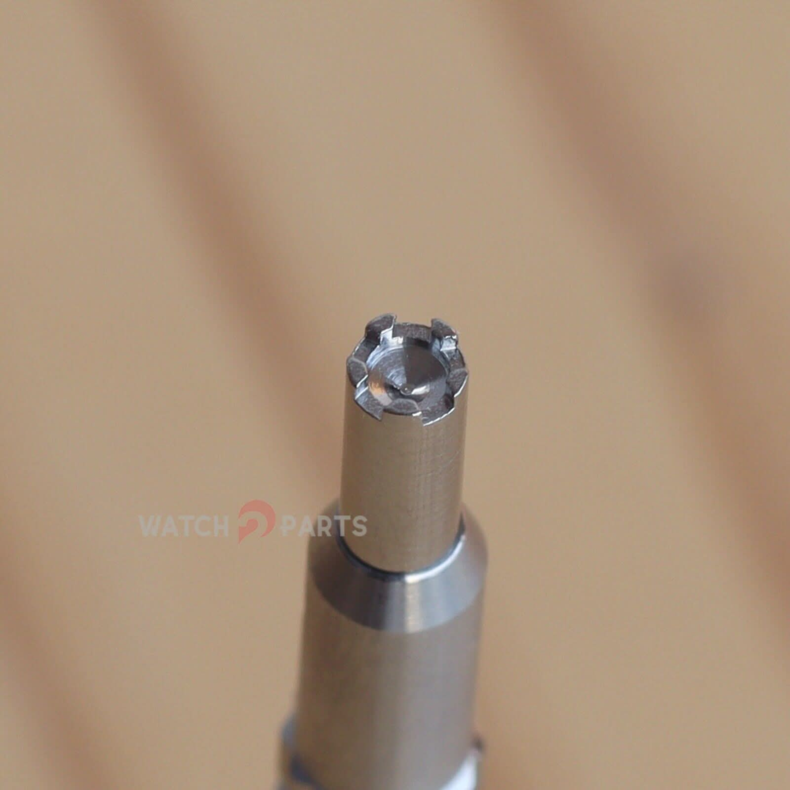 Destornillador de la hebilla de Wacterh para Richard Mille RM028 Reloj 5 Prong Tool