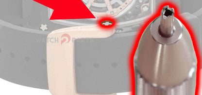 Tournevis à boucle de montre de 1,98 mm pour Richard Mille RM037 / 07 Tableau de sangle de montre 4 Prongs outil